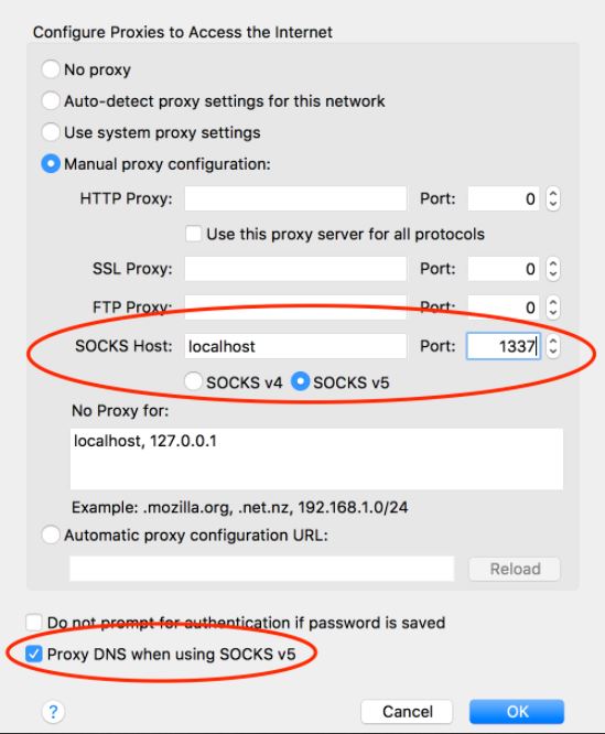 Use SOCKS proxy in Chrome Firefox