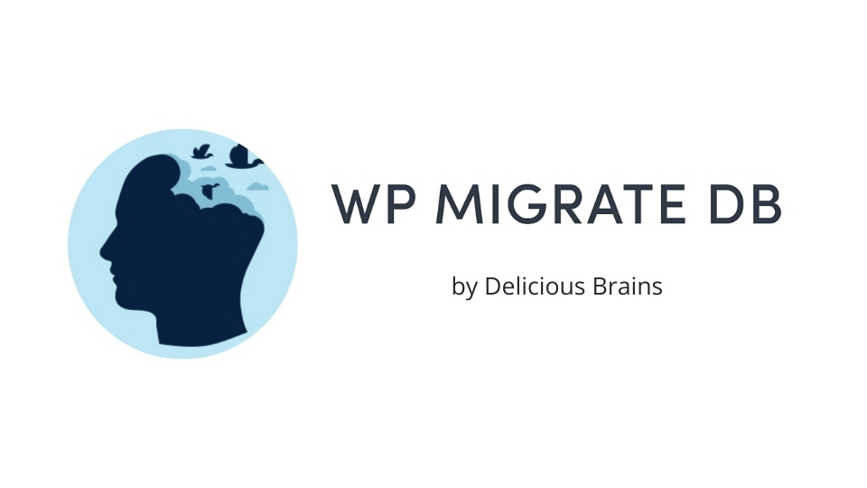 How to Migrate Your Website Safely with WP Migrate DB (Complete Guide)
