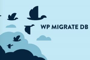 WP Migrate DB multi purpose plugin
