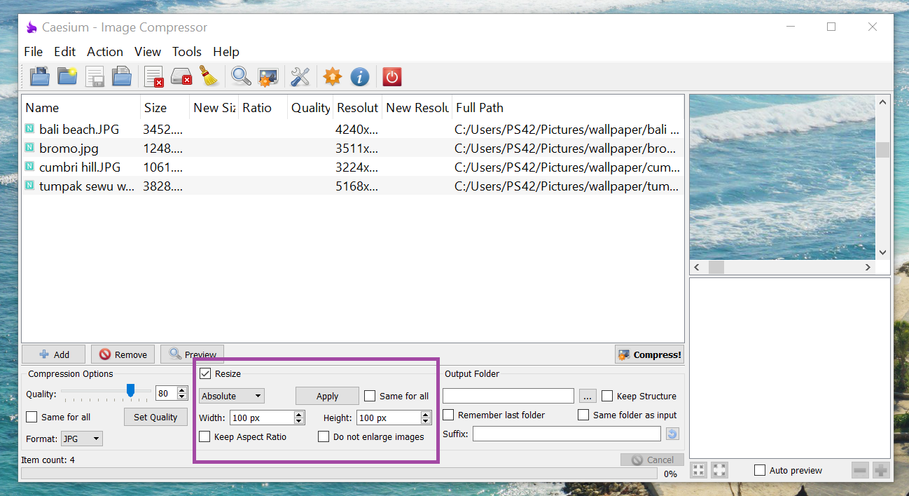 Complete Guide How to Use Caesium Image Compressor Artistudio