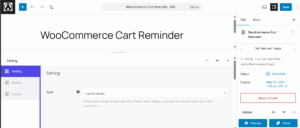 woocommerce-cart-reminder-text-setting