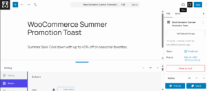 woocommerce-summer-promotion-toast-text-setting