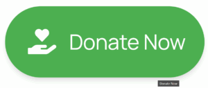FAB-Donate-Button